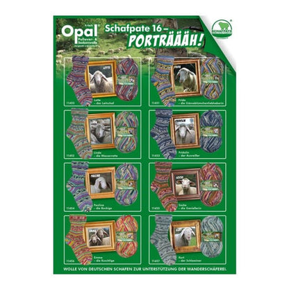 Opal Schafpate 16: Portraits of Sheep