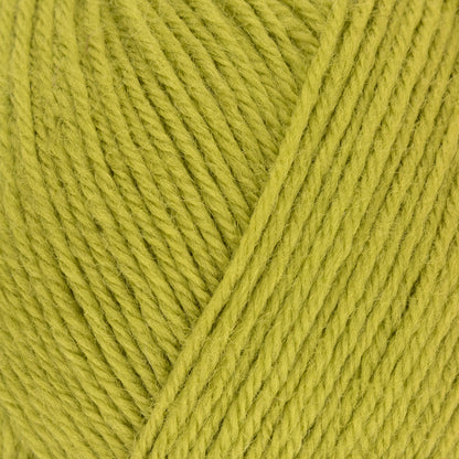 West Yorkshire Spinners Colour Lab DK