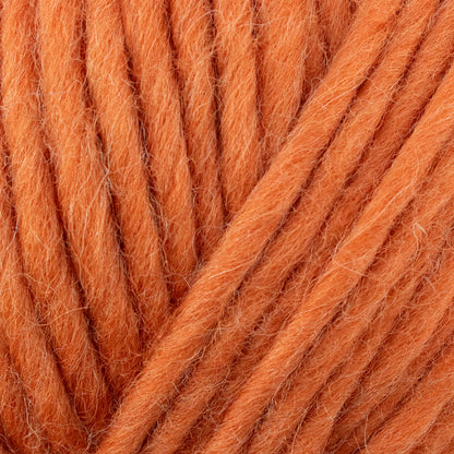 West Yorkshire Spinners ReTreat Super Chunky Roving