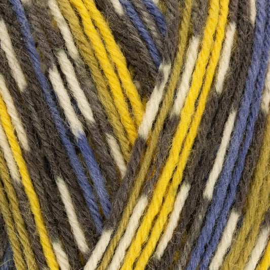 West Yorkshire Spinners Signature 4 ply - Country Birds