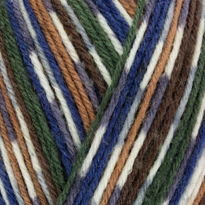 West Yorkshire Spinners Signature 4 ply - Country Birds