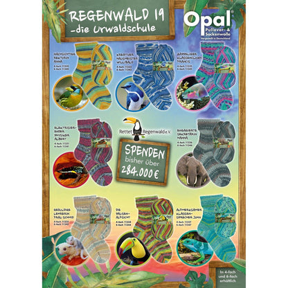 Opal Rainforest/ Regenwald 19